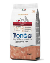 Kuivtoit koertele Monge Mini Adult lõhe ja riisiga, 2,5 kg
