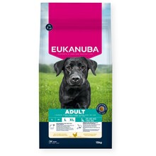Kuivtoit koertele Eukanuba Adult Large kanaga, 15 kg