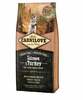 Kuivtoit kutsikatele Carnilove Salmon & Turkey Large Breed Puppy lõhe ja kalkuniga, 12 kg