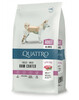 Kuivtoit koertele Quattro All Breed Adult lambalihaga, 3 kg
