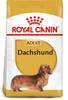 Kuivtoit taksikoertele Royal Canin Dachshund Adult, 7,5 kg