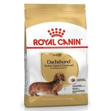 Kuivtoit koertele Royal Canin Dachshund Adult, 0,5 kg