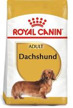 Kuivtoit taksikoertele Royal Canin Dachshund Adult, 7,5 kg