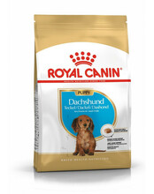 Kuivtoit kutsikatele Royal Canin Dachshund Junior, 1,5 kg