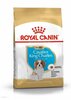 Kuivtoit kutsikatele Royal Canin Cavalier King Charles Spaniel Puppy, 1,5 kg