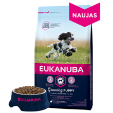 Kuivtoit kutsikatele Eukanuba Puppy&Junior Medium Breed, kanaliha, 15 kg