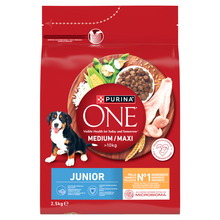 Kuivtoit kutsikatele Purina One Medium/Maxi Junior Chicken & Rice, 2,5 kg