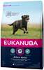 Kuivtoit täiskasvanud suurtele koertele Eukanuba Active Adult Large Breed, 3 kg