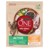 Kuivtoit koertele Purina One Mini Active kanaga ja riisiga, 800 g