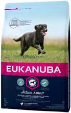 Kuivtoit täiskasvanud suurtele koertele Eukanuba Active Adult Large Breed, 3 kg