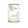 Veterinaarne konservtoit koertele Vetexpert Veterinary Diet Recovery, 400 g