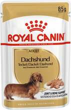 Märgtoit koertele Royal Canin Dachshund, 85 g