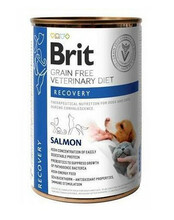 Konservtoit koertele ja kassidele Brit Veterinary Diets Recovery lõhega, 400 g