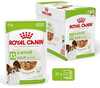 Märgtoit koertele Royal Canin Adult xs-small, 12 x 85 g