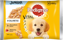 Märgtoit kutsikatele Pedigree Junior, 4 x 100 g