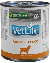 Dieettoit koertele Farmina VetLife Convalescence, 300 g