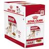 Märgtoit koertele Royal Canin Medium Adult, 10x140g