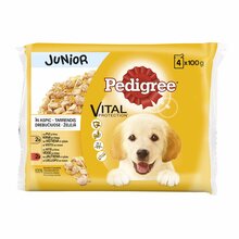 Märgtoit kutsikatele Pedigree Junior kanaliha ja veiselihaga, 100 g, 52 tk