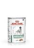 Märgtoit koertele Royal Canin Diabetic Special Low Carbohydrate, 410 g
