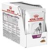 Märgtoit koertele Royal Canin Veterinary Diet Canine Renal, 12x100 g