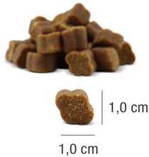 Maiustus koertele Platinum Fit-Bits Protect, 150 g