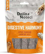 Maiused koertele Dolina Noteci Smart Chews Digestive Harmony, 100 g
