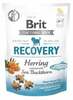Maiustus koertele Brit Care Functional Snack Recovery Herring, 150 g