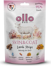 Maiustus koertele Ollo Air-Dried Skin & Coat lambaliharibad, 80 g
