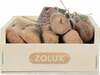 Maiustus koertele Zolux Teether oliivipuuga, 6 tk
