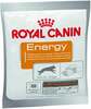Toidulisand koertele Royal Canin Energy, 50 g