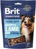 Maiustus koertele Brit Premium Dog Snack lambaliha ja astelpajuga, 180 g