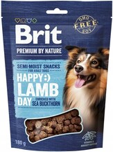 Maiustus koertele Brit Premium Dog Snack lambaliha ja astelpajuga, 180 g