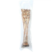 Maius koertele Zolux Beef bone, 600 g