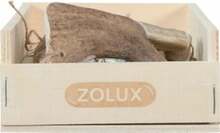 Maiustus koertele Zolux, 6 tk, S
