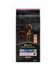 Kuivtoit koertele Purina Pro Plan Large Athletic Adult lõhega, 14 kg