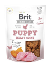 Maius kutsikatele Brit Jerky Snack Turkey Meaty Coins, 80 g