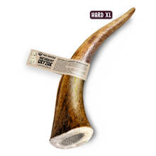 Paka Zwierzaka hirvesarv närimiseks Hard XL, 18 cm