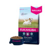 Kuivtoit täiskasvanud väikest tõugu koertele Eukanuba Adult Small Breed Chicken, 15 kg