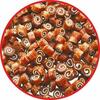 Maiustus koertele Lupi Pets Sushi Duck & Fish, 500 g