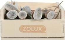 Maiustus koertele Zolux, 6 tk
