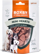 Maius koertele Boxby Mini Hearts, 100 g