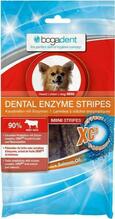 Maius koertele Bogadent Dental Enzyme Stripes, 100 g