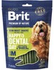 Maius koertele Brit Premium Dog Snack Dental M, 180 g
