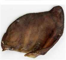 Seakõrvad koertele Alpha Spirit Pork Ear XL, 30 tk
