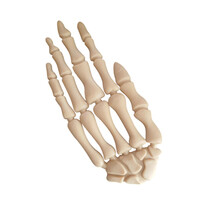 Maiustus koertele Trixie Halloween Hand, 15 cm, kanaga, 70 g