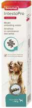 Beaphar IntestoPro L pasta koertele, 2x20 ml