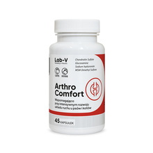 Lab-V Arthro Comfort toidulisand koertele ja kassidele, 45 kapslit