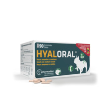 Pharmadiet Hyaloral Medium toidulisand koertele, 90 tabletti