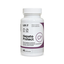 Lab-V Hepato Protect maksa toetuseks koertele ja kassidele, 45 kapslit