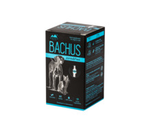 Söödalisand Flexi Joint&Flexi, 60 tabletti